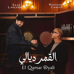 محمد شاكر و سعد لمجرد